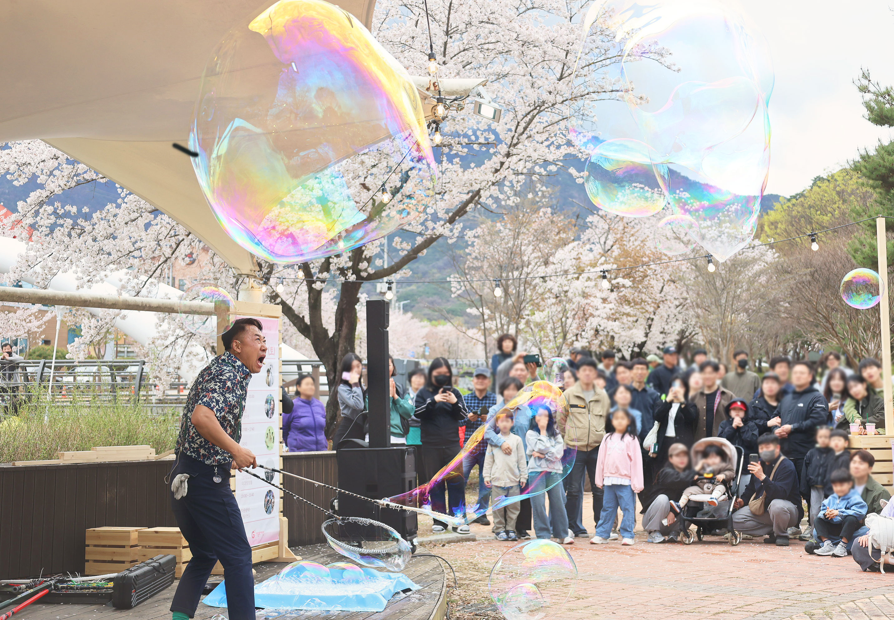 「2026 거리문화 활성화 사업」낭만 잇-는 거리로 벚꽃이 피나봄 공연 사진