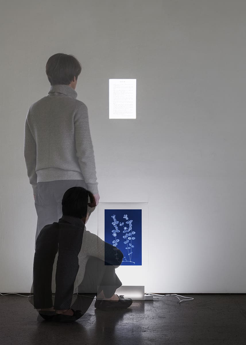 최근희 작품2